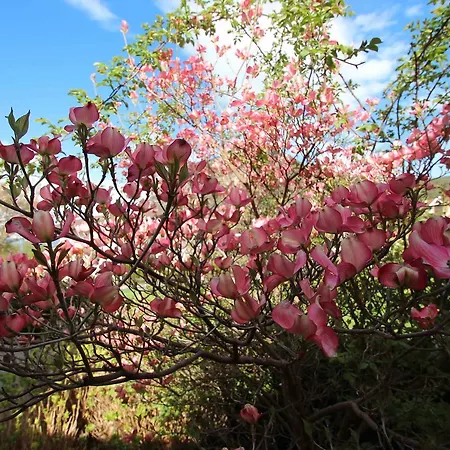 度假居 Wellness Homes Mötz