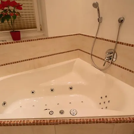 Wellness Homes 度假居 Mötz